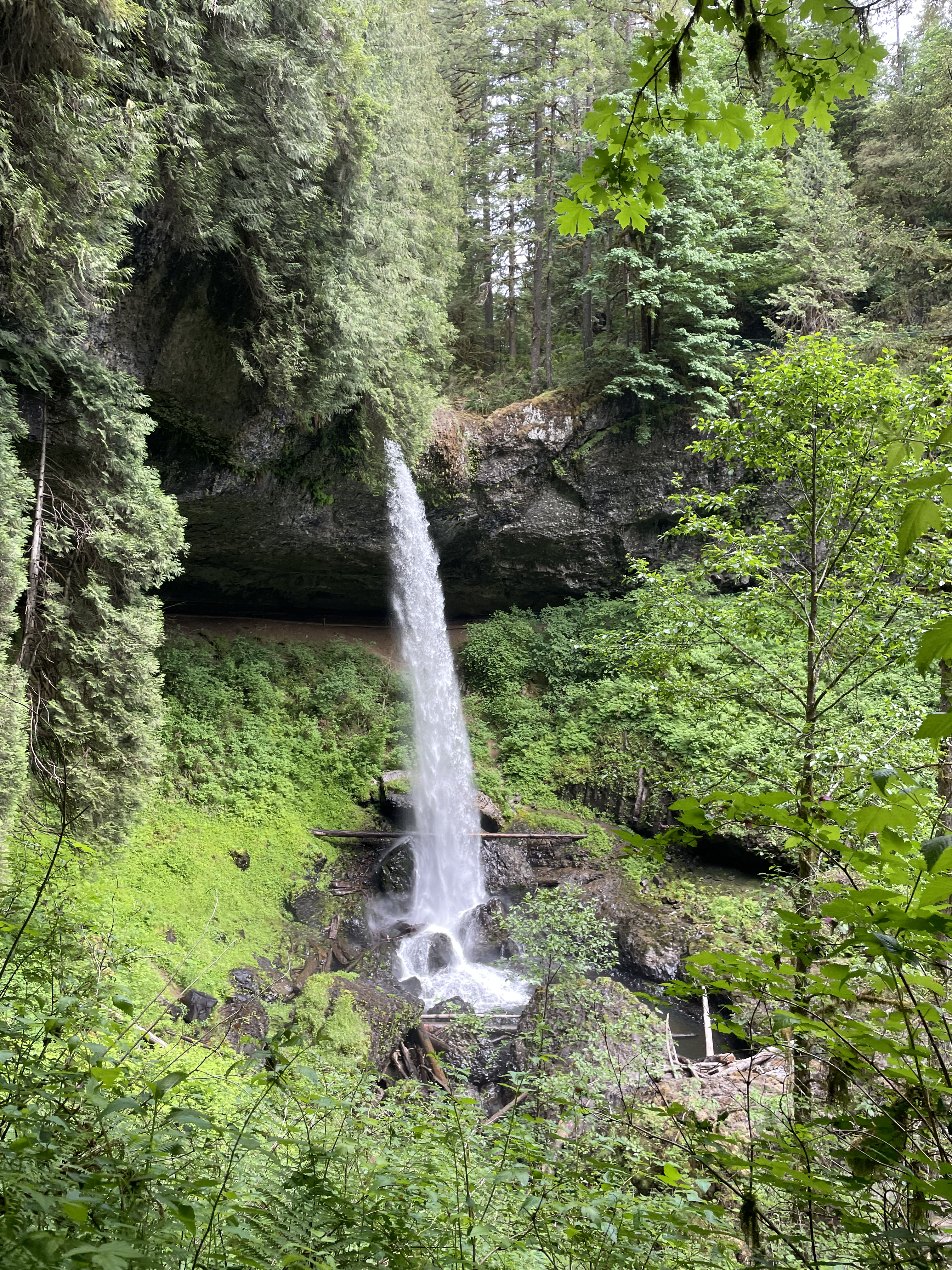 Silver Falls