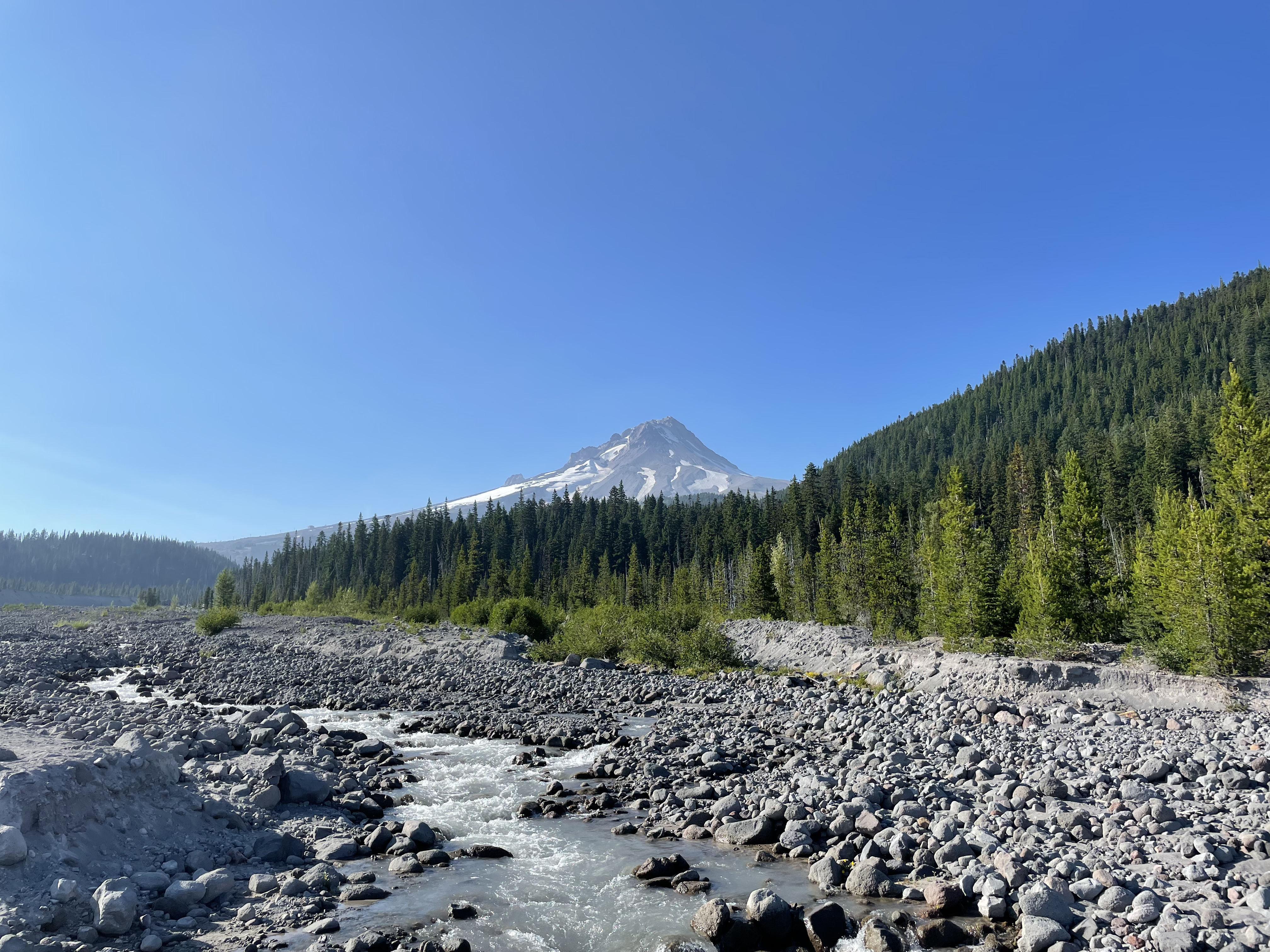 Summer Peak of Mt Hood